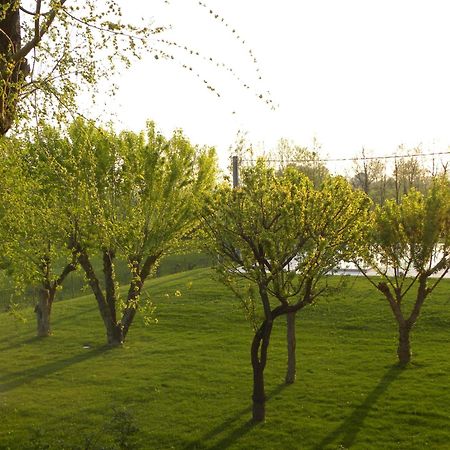 Agriturismo Feliciana Pozzolengo Exteriör bild
