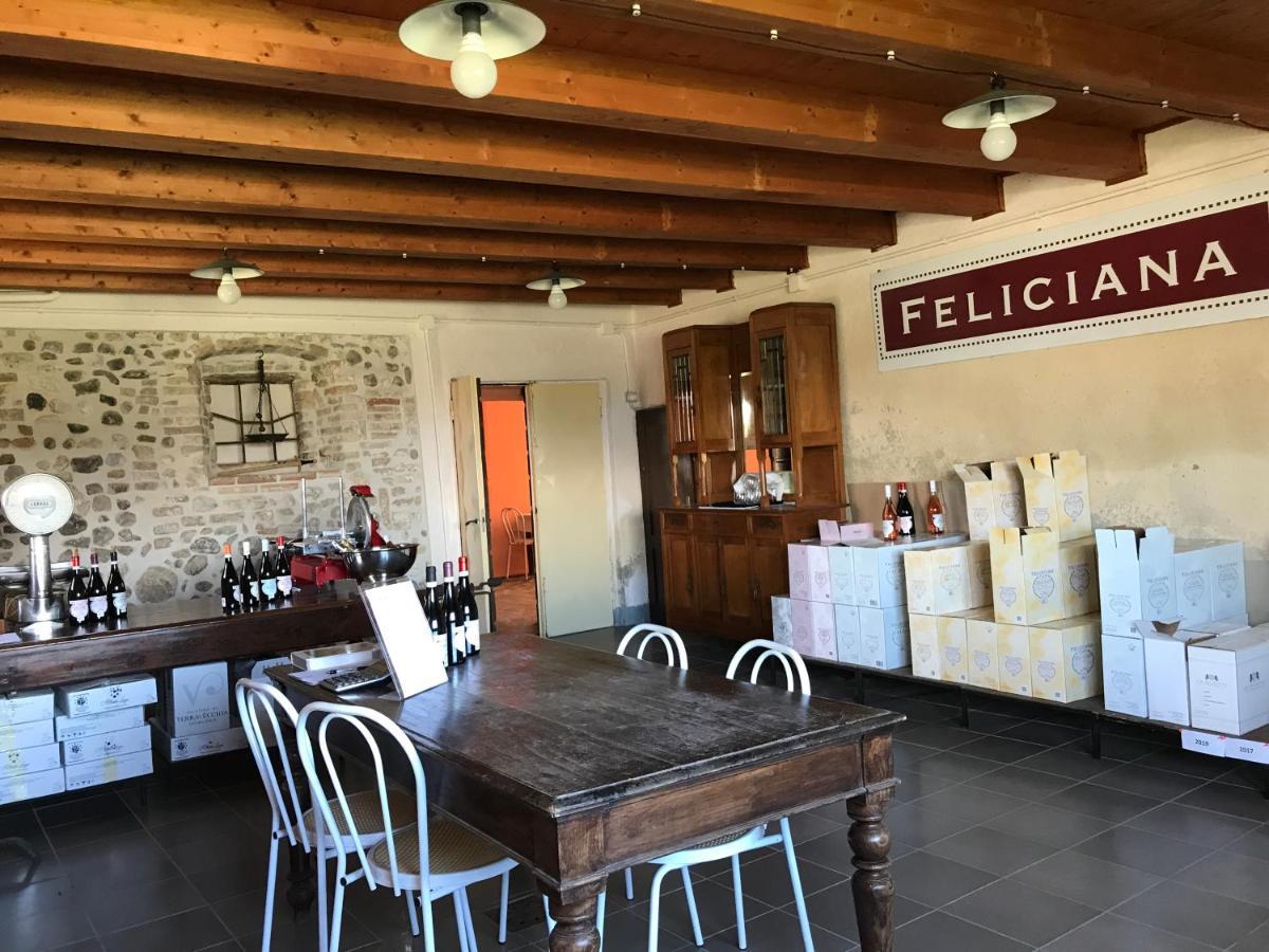 Agriturismo Feliciana Pozzolengo Exteriör bild