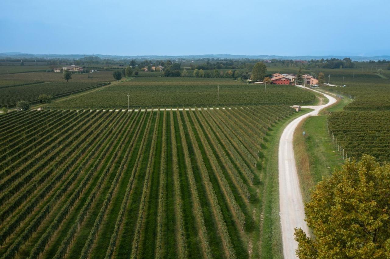 Agriturismo Feliciana Pozzolengo Exteriör bild