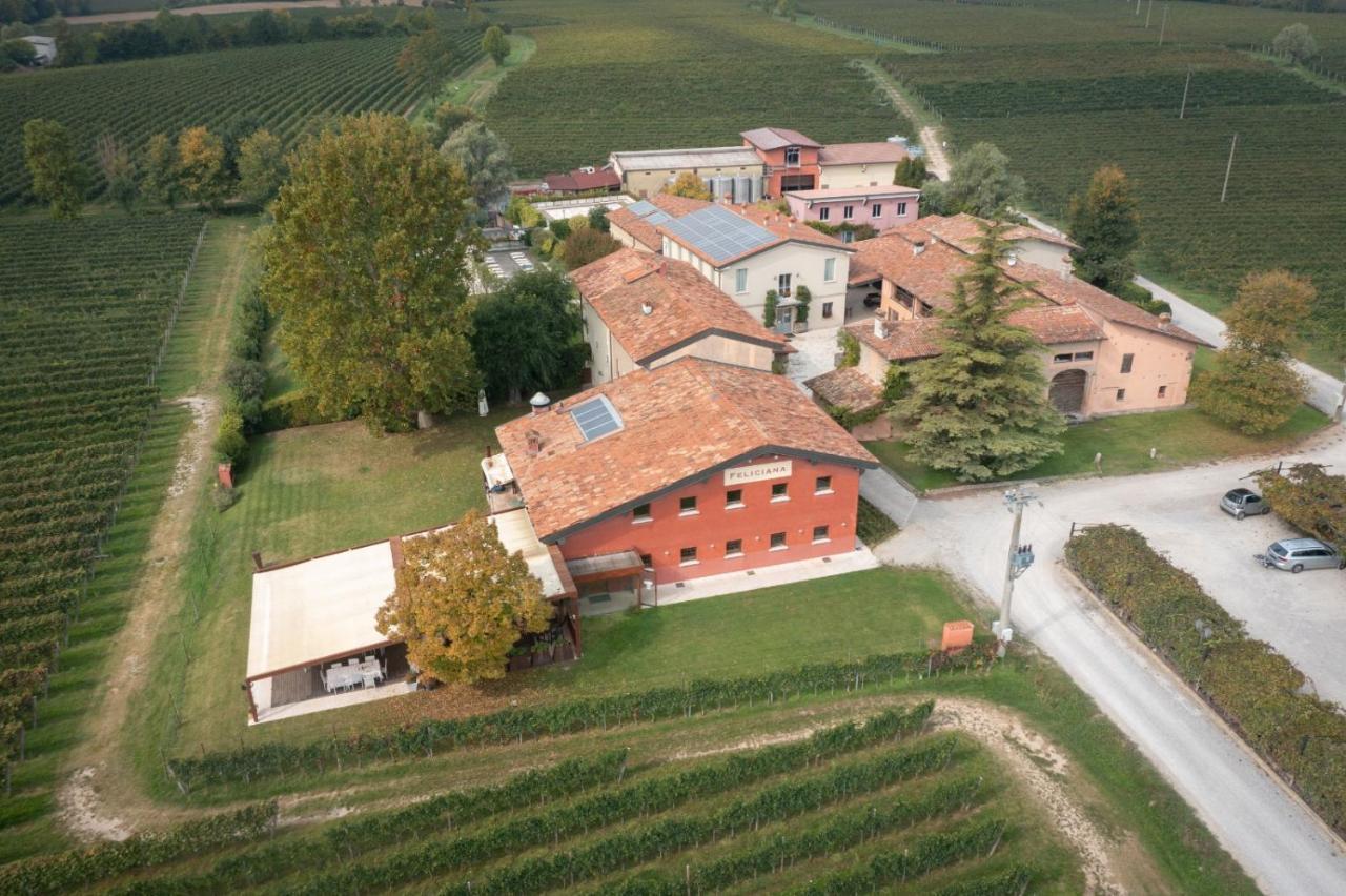Agriturismo Feliciana Pozzolengo Exteriör bild